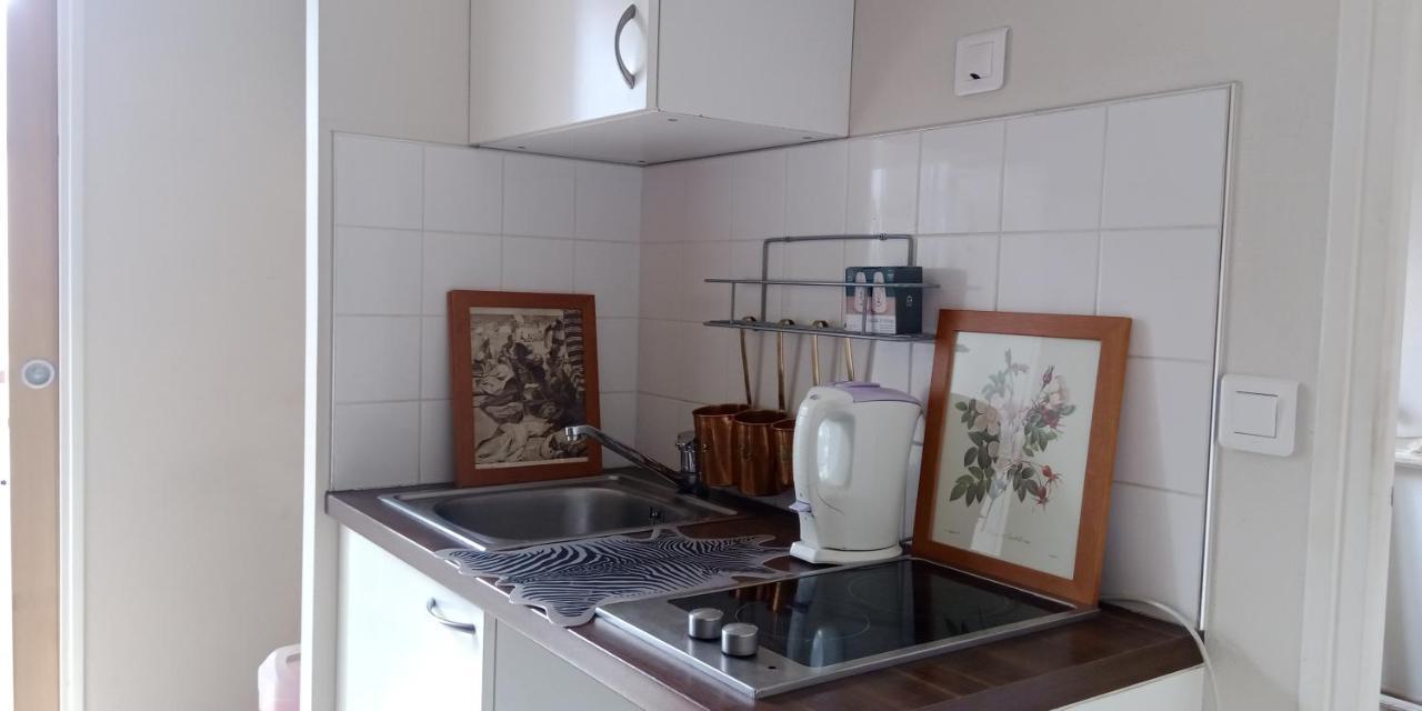 Paris Authentic House Small, Bright And Calm Studio エクステリア 写真